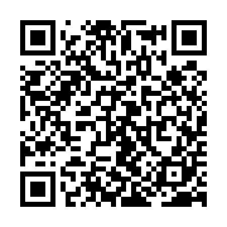 QR code for ZIS500