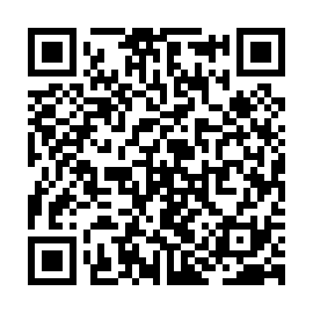 QR code for ZIU031