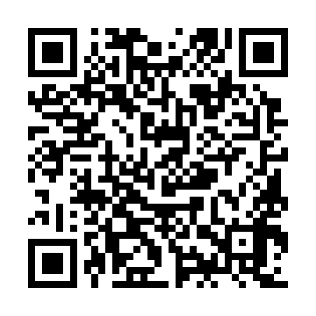 QR code for ZIU398