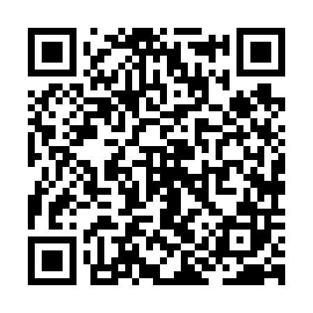 QR code for ZIX602