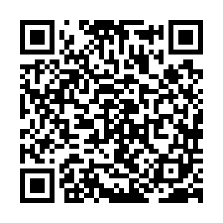 QR code for ZIX741
