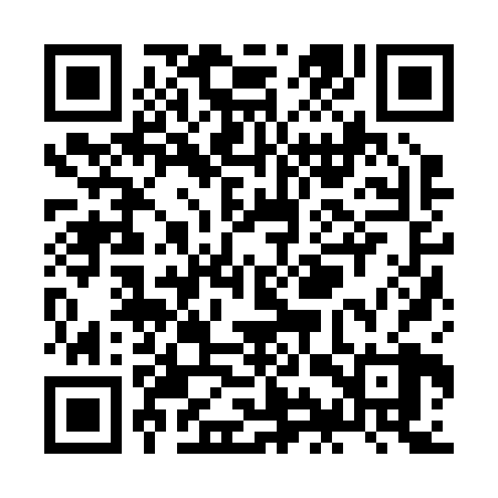 QR code for ZIZ228