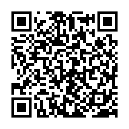 QR code for ZIZ331