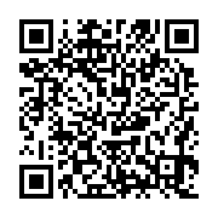 QR code for ZIZ371