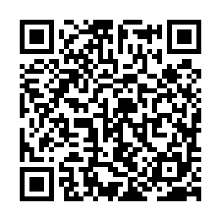 QR code for ZIZ595