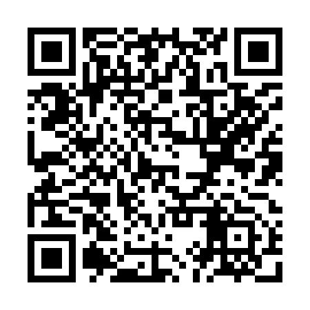 QR code for ZIZ953