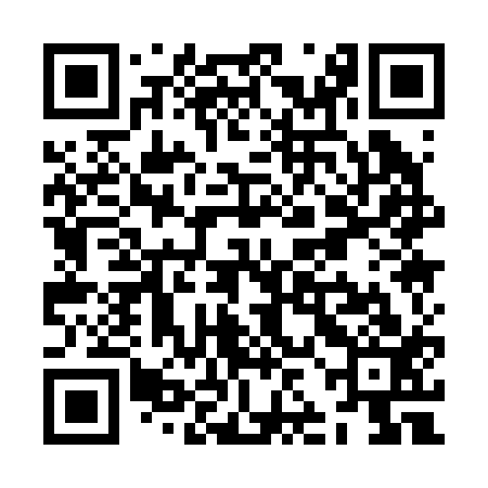 QR code for ZJA213