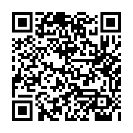 QR code for ZJA369