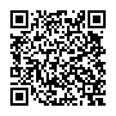 QR code for ZJB413