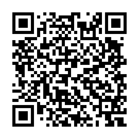 QR code for ZJB494