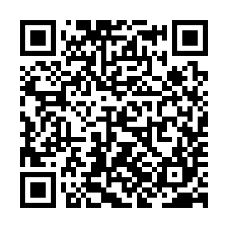 QR code for ZJC384