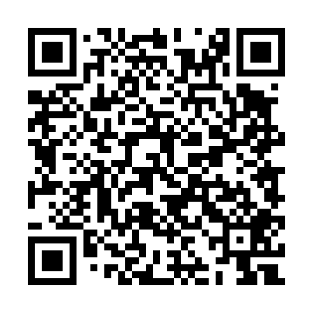 QR code for ZJD409