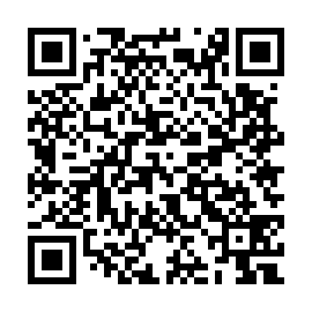 QR code for ZJE539