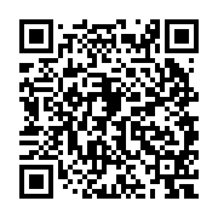 QR code for ZJF294