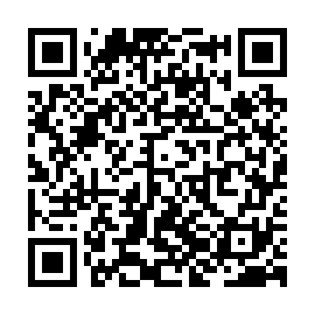 QR code for ZJG271