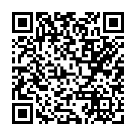 QR code for ZJG381