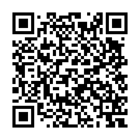 QR code for ZJG425