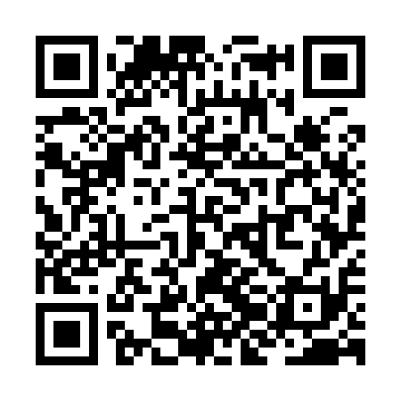 QR code for ZJG911