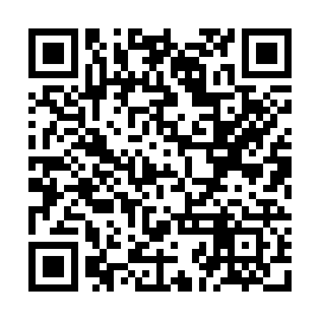 QR code for ZJH323