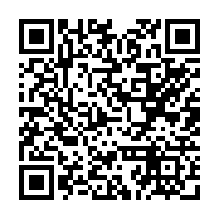 QR code for ZJI223