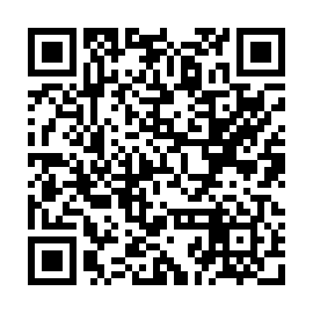 QR code for ZJJ009