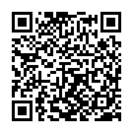 QR code for ZJJ300