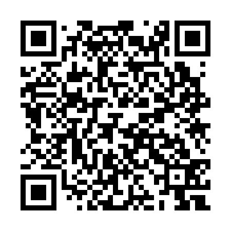 QR code for ZJK333
