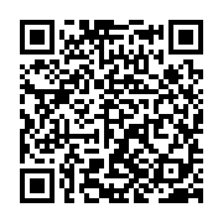 QR code for ZJK399