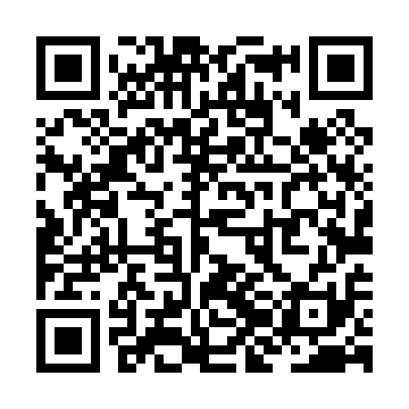 QR code for ZJL011