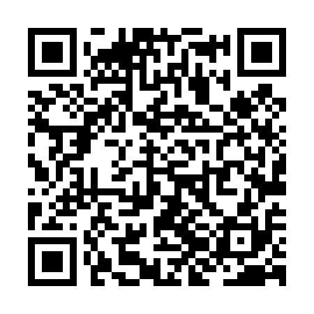 QR code for ZJL410