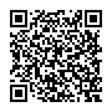 QR code for ZJL955