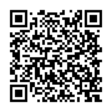 QR code for ZJM597