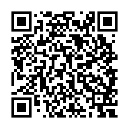QR code for ZJN382