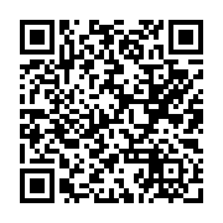 QR code for ZJN491