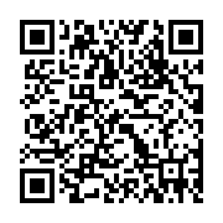 QR code for ZJP006