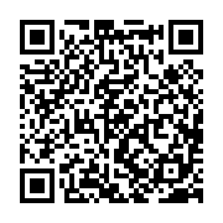 QR code for ZJP095