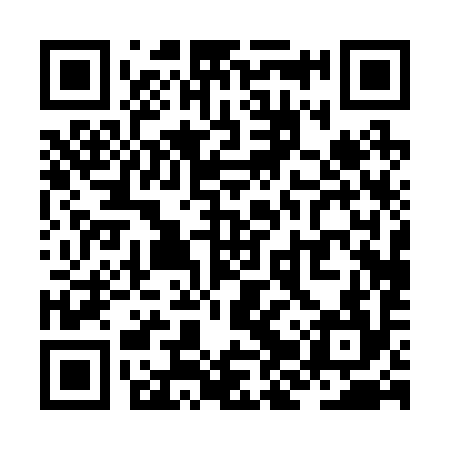 QR code for ZJP294