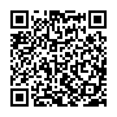 QR code for ZJP399