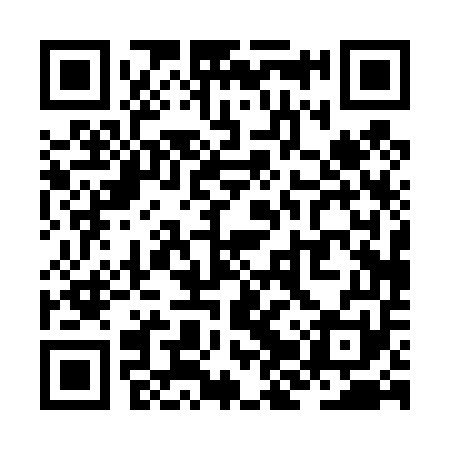QR code for ZJP451