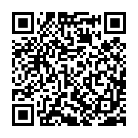 QR code for ZJP493