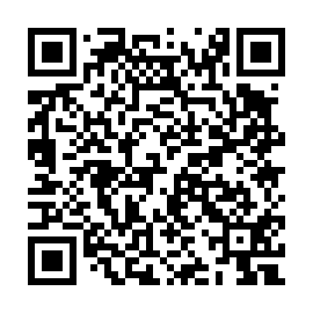 QR code for ZJQ411