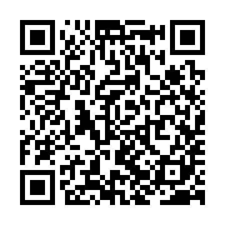 QR code for ZJS381