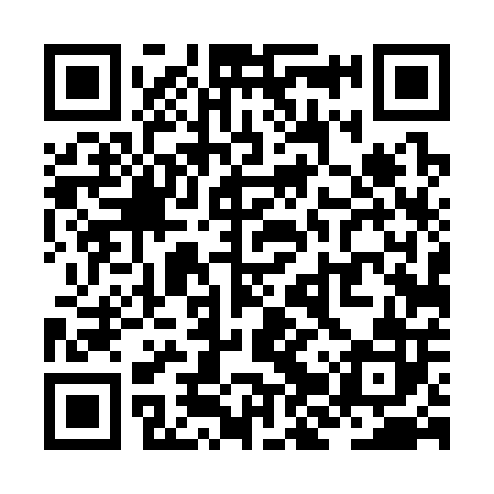 QR code for ZJT302