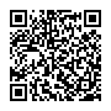 QR code for ZJT493