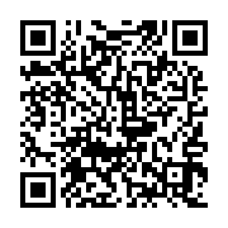 QR code for ZJT913