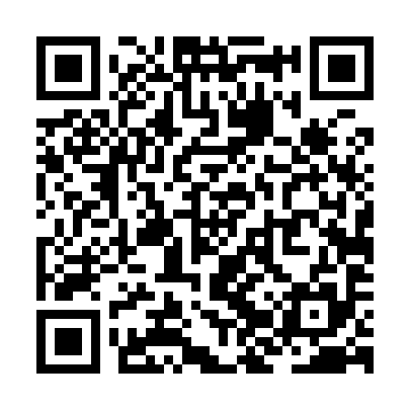 QR code for ZJT995