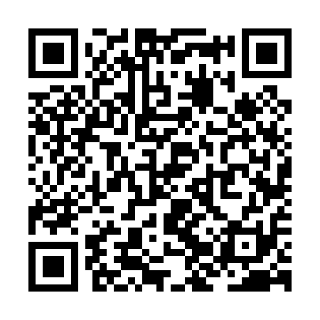 QR code for ZJV011