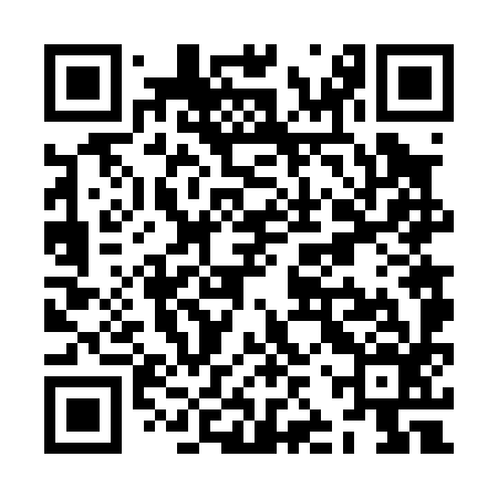 QR code for ZJV096