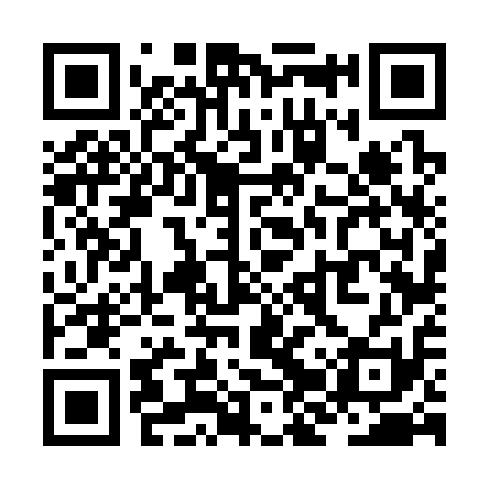 QR code for ZJV311