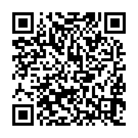 QR code for ZJV993